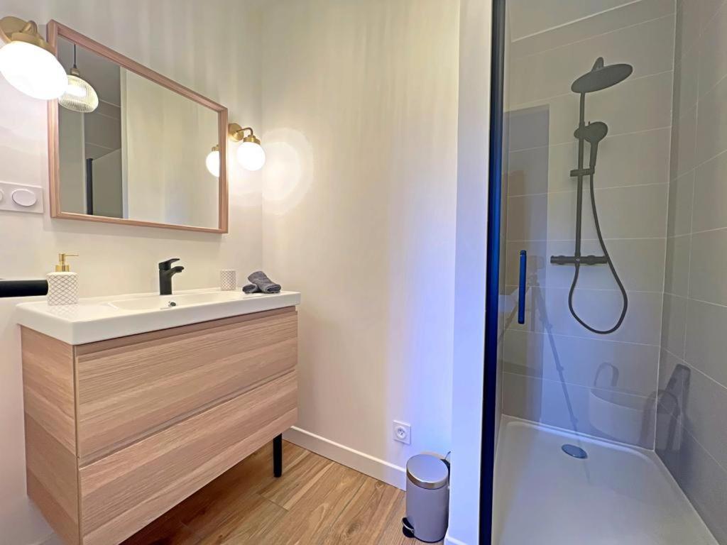 סן-אטיין Appartement Coup De Coeur. St Etienne-Rochetaillee מראה חיצוני תמונה