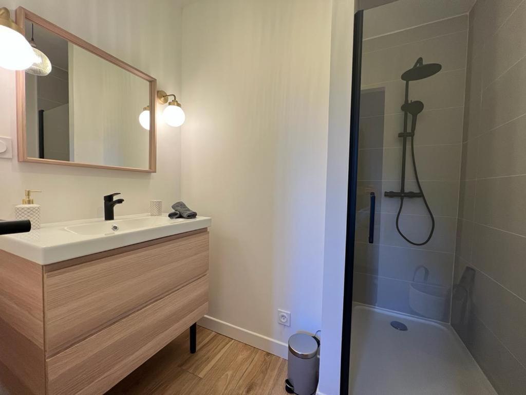 סן-אטיין Appartement Coup De Coeur. St Etienne-Rochetaillee מראה חיצוני תמונה