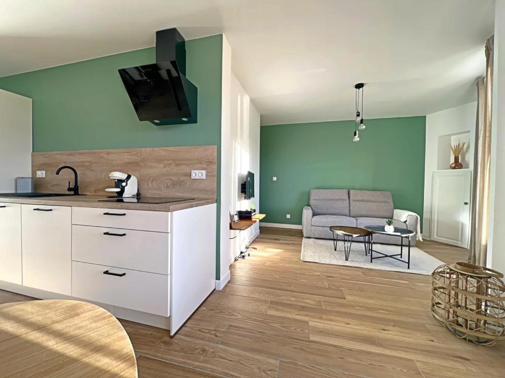 סן-אטיין Appartement Coup De Coeur. St Etienne-Rochetaillee מראה חיצוני תמונה