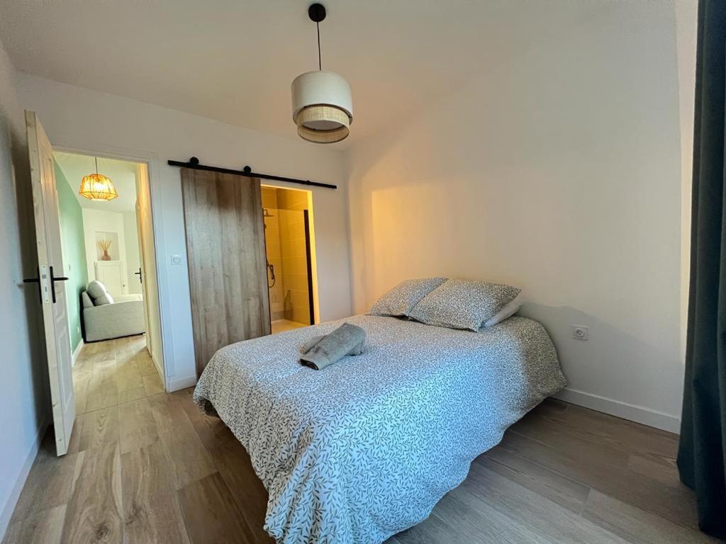סן-אטיין Appartement Coup De Coeur. St Etienne-Rochetaillee מראה חיצוני תמונה
